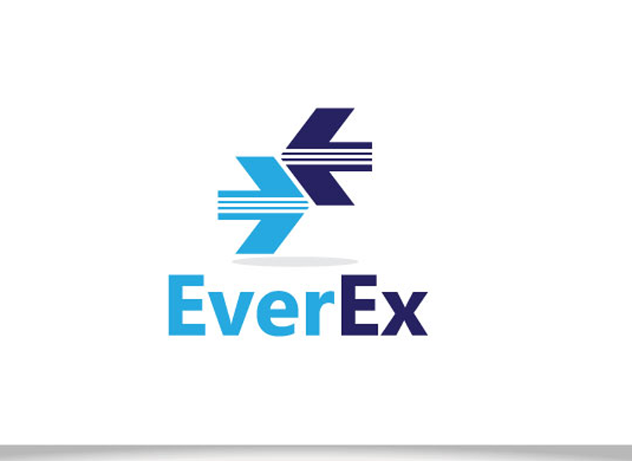 Everex - логотип-104