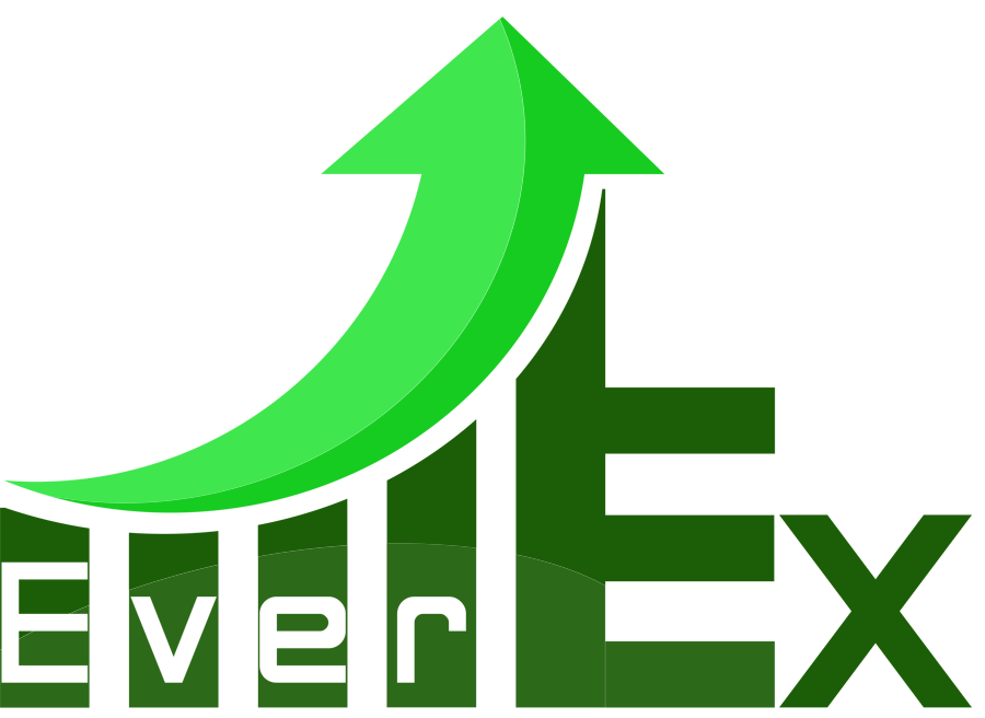 Everex - логотип