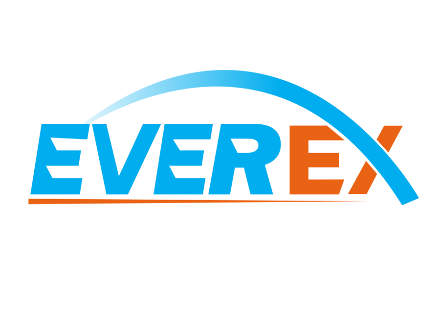 Everex - Loqo