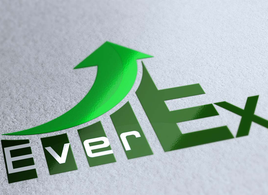 Everex - logo